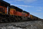 BNSF 8590 Roster shot